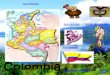 Ave nacional Flor nacional Bandera de Colombia Escudo de Colombia Bailes típicos de Colombia Árbol nacional Generalidades