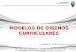 1 MODELOS DE DISEÑOS CURRICULARES Facilitador: Mario Cañasto Huanca