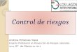 Control de riesgos Andrea Peñaloza Tapia Experto Profesional en Prevención de Riesgos Laborales Talca, 07 de Marzo de 2012