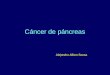 Cáncer de páncreas Alejandro Alfaro Sousa. Cáncer de páncreas H-M = 2:1 Edad: 50 a 80 años 2% de los pacientes con cáncer USA: 28 000 nuevos casos cada