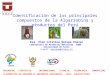 Identificación de los principales compuestos de la Algarrobina y productos del Perú Dra. Elen Cristina Quispe Chávez Laboratorio de Productos Naturales