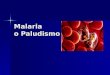 Malaria o Paludismo. Introducción Enfermedad parasitaria de manifestación aguda y de evolución crónica, caracterizada por fiebre o accesos febriles intermitentes,