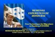 REMESAS EXPERIENCIA DE HONDURAS Foro Nacional para las Migraciones en Honduras,FONAMIH Seminario Regional REMESAS DE MIGRANTES: ¿Una alternativa para América