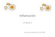 Inflamación Unidad 2 Dra. Lourdes Méndez Nurs 232-UMET