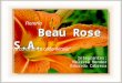 Beau Rose S.A. Florería Beau Rose S.A. “Tu corazón en cada detalle” Integrantes: Melissa Mendez Eduardo Cabrera