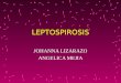 LEPTOSPIROSIS JOHANNA LIZARAZO ANGELICA MEJIA. La leptospirosis es una enfermedad febril aguda, que afecta a algunos animales y al ser humano. Es producida