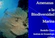 Amenazas a la Biodiversidad Marina Rodolfo Claro Instituto de Oceanología CITMA