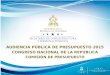 AUDIENCIA PÚBLICA DE PRESUPUESTO 2015 CONGRESO NACIONAL DE LA REPÚBLICA COMISIÓN DE PRESUPUESTO