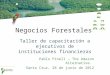 Negocios Forestales Taller de capacitación a ejecutivos de instituciones financieras Pablo Pinell – The Amazon Alternative. Santa Cruz, 28 de junio de