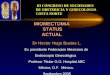 Dr Hector Hugo Bustos L. Ex presidente Federacion Mexicana de Endoscopia Ginecológica Profesor Titular G.O. Hospital ABC México, D.F. México. Septiembre
