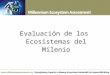 Evaluación de los Ecosistemas del Milenio. La evaluación más grande de la salud de los ecosistemas de la Tierra Expertos y Proceso de Revisión  Preparada