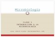 CLASE 1 INTRODUCCIÓN A LA MICROBIOLOGÍA BIOQ. DENISE RISNIK (DRISNIK@HOTMAIL.COM) Microbiología