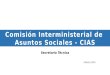 Secretaría Técnica Febrero, 2014 Comisión Interministerial de Asuntos Sociales - CIAS