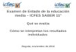 Examen de Estado de la educación media – ICFES SABER 11° Qué se evalúa Cómo se interpretan los resultados individuales Bogotá, noviembre de 2010
