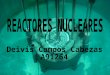 ¿Qué es un Reactor Nuclear? Es una instalación física donde se produce, mantiene y controla una reacción nuclear en cadena. Por lo tanto, en un reactor