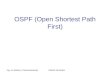 Ing. en Redes y Comunicaciones Diseño de Redes OSPF (Open Shortest Path First)