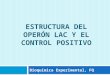 ESTRUCTURA DEL OPERÓN LAC Y EL CONTROL POSITIVO Bioquímica Experimental, FQ