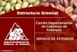 © Copyright FNC año SERVICIO DE EXTENSIÓN Comité Departamental de Cafeteros de Antioquia Estructura Gremial