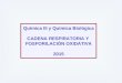 Química III y Química Biológica CADENA RESPIRATORIA Y FOSFORILACIÓN OXIDATIVA 2015