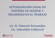 ACTUALIZACION LEGAL EN MATERIA DE HIGIENE Y SEGURIDAD EN EL TRABAJO Lic. D. Marcelo Fernandez Lic. Sebastián Collazuol