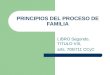PRINCIPIOS DEL PROCESO DE FAMILIA LIBRO Segundo, TITULO VIII, arts. 705/711 CCyC