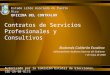 Contratos de Servicios Profesionales y Consultivos Radamés Calderón Escalera Adiestramiento Auditores Internos del Gobierno 7 de mayo de 2008 Estado Libre