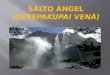 Salto Ángel es el mas grande salto de agua del mundo, con una altura de 979 m. Esta caída se sitúa en la municipalidad de Gran Sabana a Venezuela. Bajo