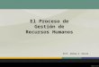 El Proceso de Gestión de Recursos Humanos Prof. Andrea G. Rivero