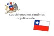 Los chilenos nos sentimos orgullosos de…. Arturo Prat Chacón Nacido en Ninhue, Chile, el 3 de abril de 1848. Profesión: Marino Naval. Famoso por: Ser