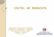 COCTEL DE MARACUYA CORPORACION UNIVERSITARIA REMINGTON TECNOLOGIA EN CONTADURIA Y TRIBUTARIA ANA ADELAIDA MARTINEZ PARADA SARAVENA – ARAUCA 02 -12 -12