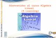 ALGEBRA LINEAL Introducción al curso CAMILO A. ZUÑIGA G. Universidad Nacional Abierta y a Distancia UNAD Bienvenidos al curso Algebra Lineal (E-Learning)