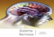 Sistema Nervioso Encéfalo Morfofisiología Básica