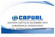 GESTION CAPITALES DICIEMBRE 2014 SUBGERENCIA OPERACIONES DPTO. OPERACIONES FINANCIERAS Preparado por: Luis Poblete R