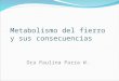 Metabolismo del fierro y sus consecuencias Dra Paulina Parra W