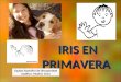 IRIS EN PRIMAVERA Equipo Específico de Discapacidad Auditiva. Madrid. 2013