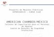 Proyecto de Mejores Prácticas EXPERIENCIA – CURSO ILGO AMERICAN CHAMBER/MEXICO Talleres de Capacitación para el Personal de Aduanas Comité de Derechos