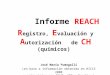 Informe REACH R egistro, E valuación y A utorización de CH (químicos) José María Fumagalli (en base a información obtenida en HICCS 2008 y entrevistas