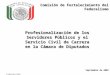 Comisión de Fortalecimiento del Federalismo Profesionalización de los Servidores Públicos y el Servicio Civil de Carrera en la Cámara de Diputados Comisión