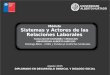Módulo Sistemas y Actores de las Relaciones Laborales Domingo Pérez - COES y Fondecyt Conflictos Sindicales F ACULTAD DE E CONOMÍA Y N EGOCIOS U NIVERSIDAD