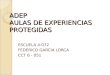 ADEP AULAS DE EXPERIENCIAS PROTEGIDAS ESCUELA 4-072 FEDERICO GARCIA LORCA CCT 6 - 051