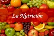 La Nutrición Nutricion: Concepto. Importancia. Efectos. Tipos de nutricion. La Obesidad. Causas de la Obesidad