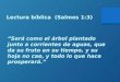 “Será como el árbol plantado junto a corrientes de aguas, que da su fruto en su tiempo, y su hoja no cae, y todo lo que hace prosperará.” Lectura bíblica