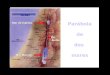Criação Ria Slides Mar de Galilea Mar Muerto Israel Río Jordán