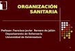 1 ORGANIZACIÓN SANITARIA Profesor: Francisco Javier Romero de Julián Departamento de Enfermería Departamento de Enfermería Universidad de Extremadura