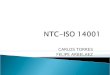 CARLOS TORRES FELIPE ARBELAEZ.  Comité técnico ISO/TC 207 – GESTION AMBIENTAL.  Subcomité SC1, Sistemas de gestión ambiental.  Segunda edición, sustituye