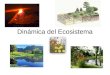 Dinámica del Ecosistema. El Ecosistema Es una estructura compleja constituida por una biocenosis y el biotopo que ocupa. Los límites de un ecosistema