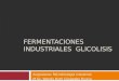 FERMENTACIONES INDUSTRIALES GLICOLISIS Asignatura: Microbiología industrial M.Sc. Wendy Ruth Céspedes Rivera