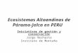 Ecosistemas Altoandinos de Páramo-Jalca en PERU Iniciativas de gestión y conservación Jorge Recharte Instituto de Montaña