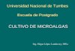 Universidad Nacional de Tumbes Escuela de Postgrado CULTIVO DE MICROALGAS Ing. Edgar López Landavery, MS.c