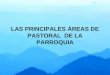 LAS PRINCIPALES ÁREAS DE PASTORAL DE LA PARROQUIA